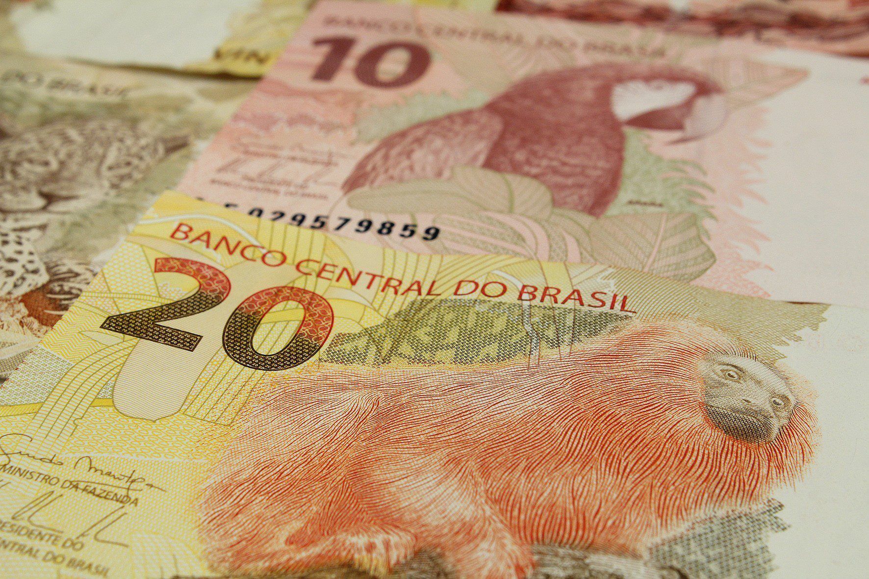 Mesmo com salário gordo de R$ 238,5 mil em 2022, padre Egídio obteve R$ 4,4 milhões das contas do Instituto São José, mostra auditoria Mesmo com salário gordo de R$ 238,5 mil em 2022, padre Egídio obteve R$ 4,4 milhões das contas do Instituto São José, mostra auditoria