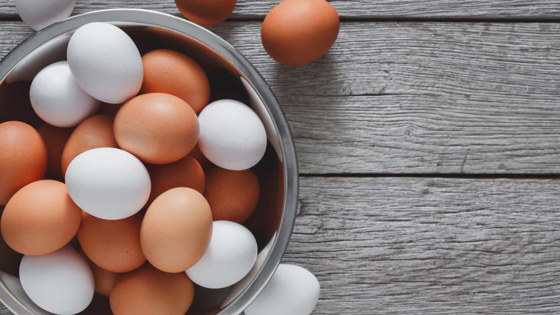 Estudos afirmam que o consumo de ovo na infância ajuda no desenvolvimento do cérebro Estudos afirmam que o consumo de ovo na infância ajuda no desenvolvimento do cérebro
