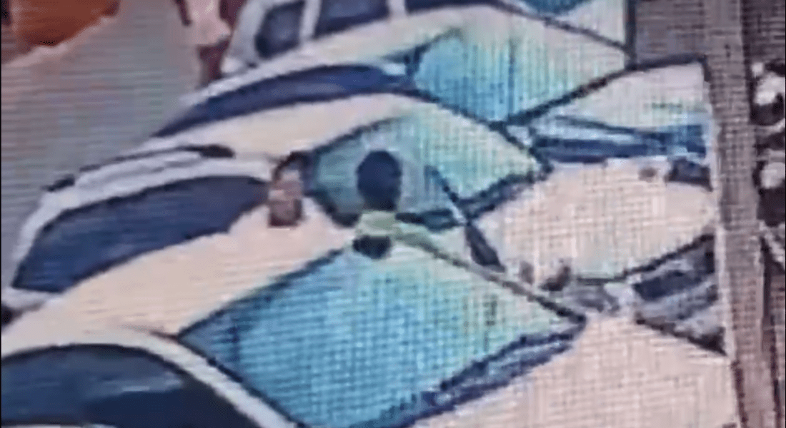Policial militar é morto por policial civil em briga por estacionamento no Recife Policial militar é morto por policial civil em briga por estacionamento no Recife