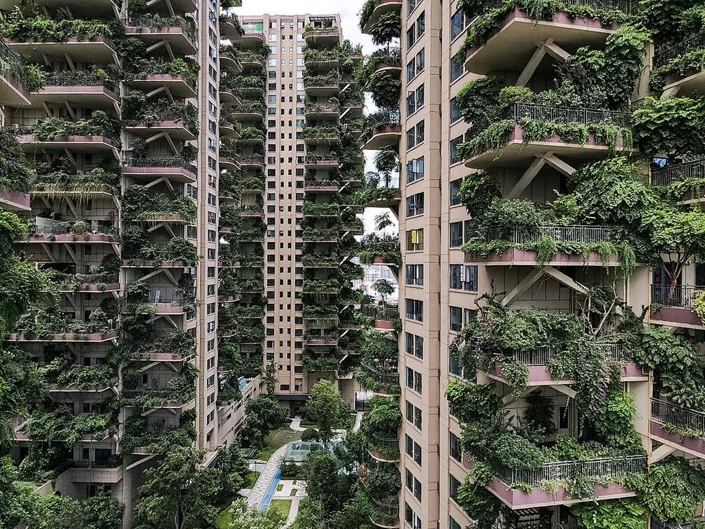 Plantas 'invadem' apartamentos de prédios residenciais na China Plantas 'invadem' apartamentos de prédios residenciais na China