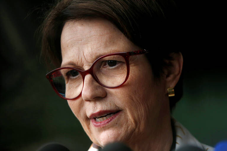 'Nós faremos ele baixar', diz Tereza Cristina sobre preço do arroz