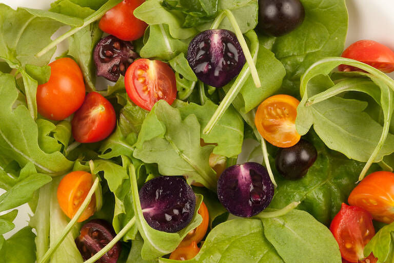 Com DNA modificado, tomate roxo é avaliado para uso comercial nos EUA Com DNA modificado, tomate roxo é avaliado para uso comercial nos EUA