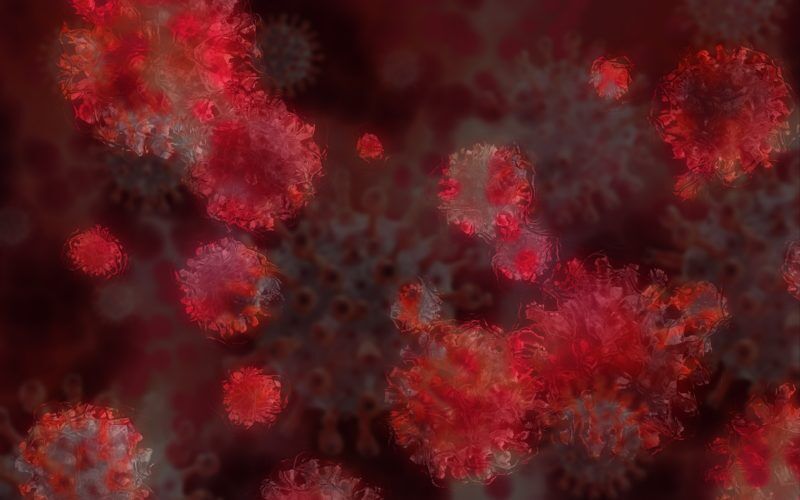 Paraíba identifica primeira paciente infectada com variante Ômicron Paraíba identifica primeira paciente infectada com variante Ômicron