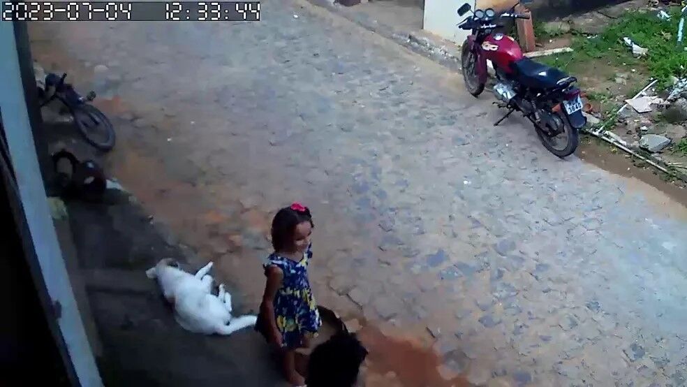 Cerca de 70 pessoas ajudam polícia na busca por Sophia, desaparecida em Bananeiras; força-tarefa ampliou área de buscas Cerca de 70 pessoas ajudam polícia na busca por Sophia, desaparecida em Bananeiras; força-tarefa ampliou área de buscas