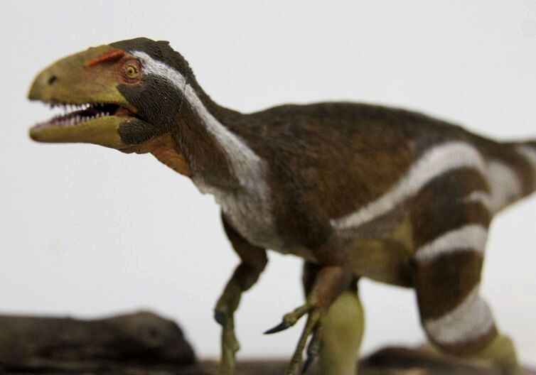 Novo dinossauro brasileiro achado no Ceará é batizado em homenagem ao Museu Nacional Novo dinossauro brasileiro achado no Ceará é batizado em homenagem ao Museu Nacional
