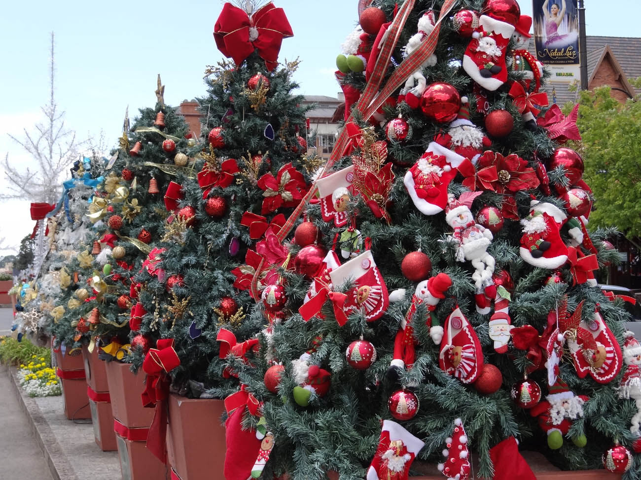 Preço da árvore de Natal grande varia entre R$ 59,90 e R$ 1.729 em Campina Preço da árvore de Natal grande varia entre R$ 59,90 e R$ 1.729 em Campina