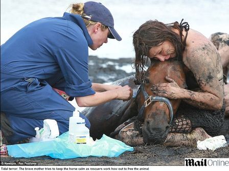 Australiana fica três horas na lama tentando salvar cavalo preso Australiana fica três horas na lama tentando salvar cavalo preso