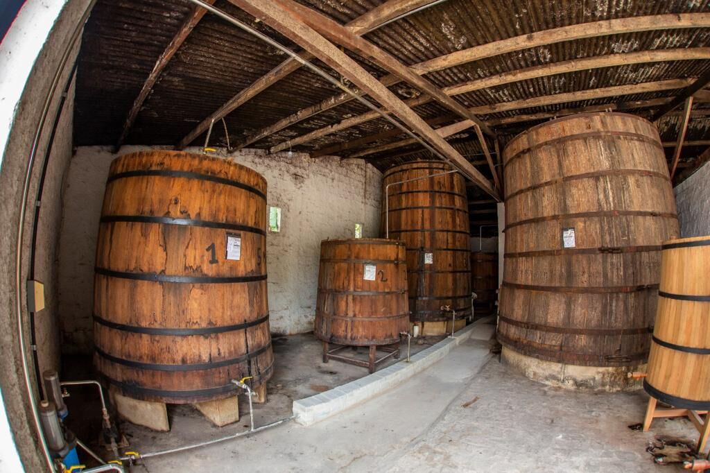 Areia Mostra Cachaça acontece no próximo fim de semana no Brejo da Paraíba com expectativa de geração de negócios