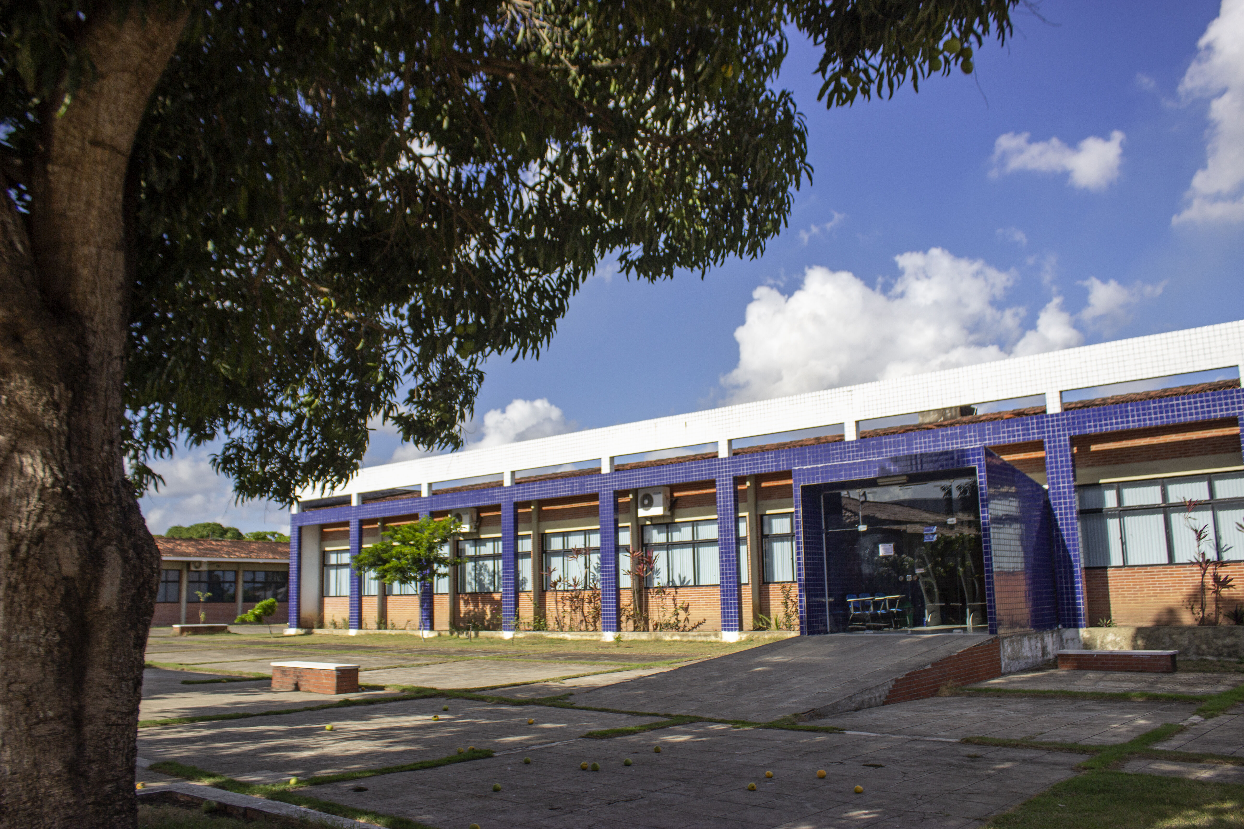 UFPB deve lançar edital de concurso para técnicos administrativos nesta segunda; certame terá mais de 100 vagas universidade mamanguape