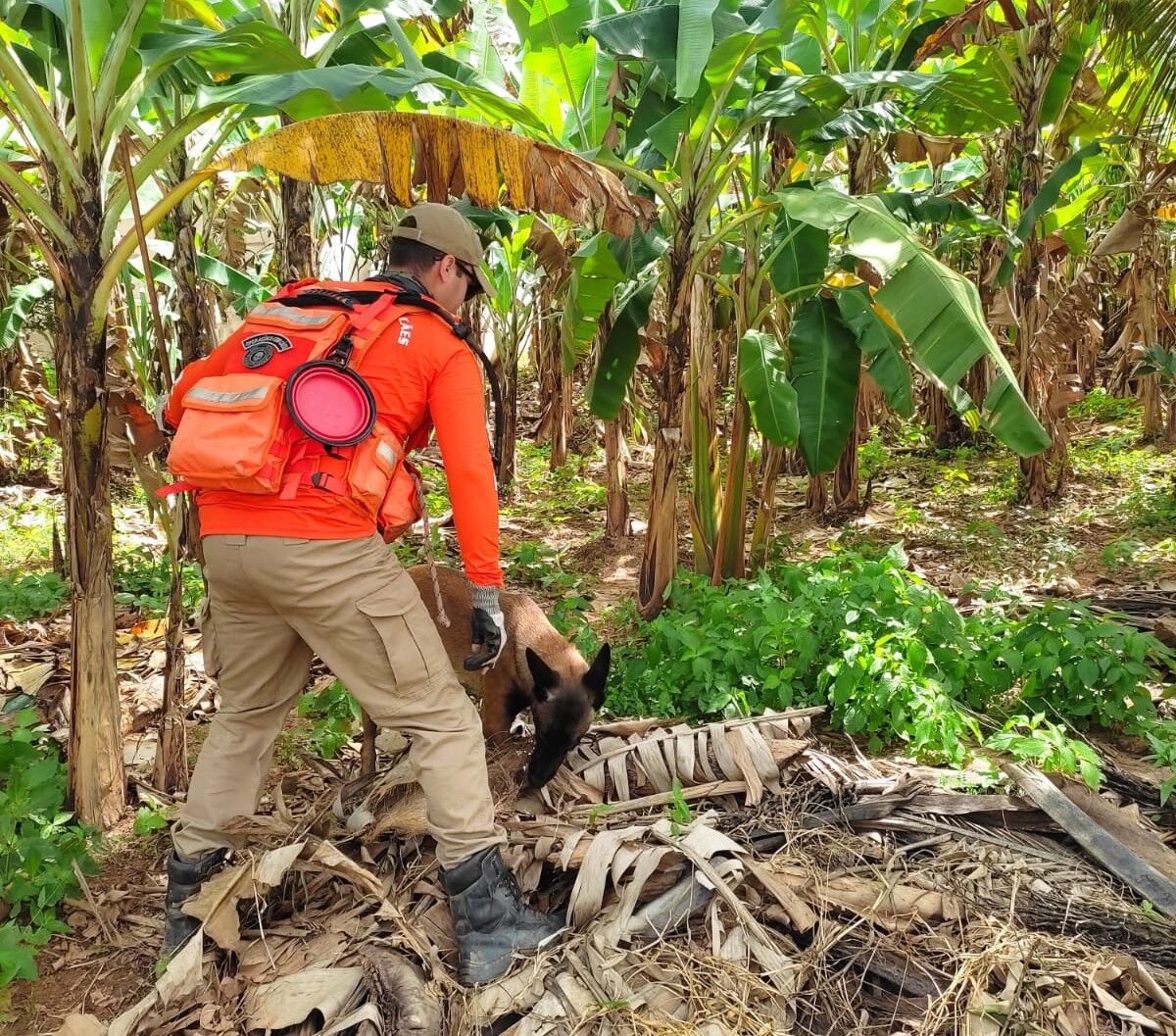 16º dia: Bombeiros vasculham poços e cacimbas em busca de Ana Sophia 16º dia: Bombeiros vasculham poços e cacimbas em busca de Ana Sophia