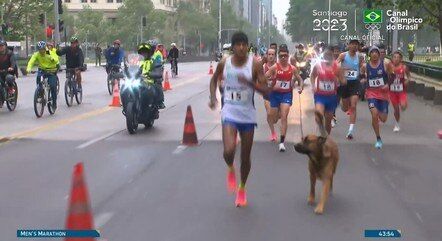 Cachorro invade maratona no Pan e corre ao lado de brasileiro; assista ao vídeo Cachorro invade maratona no Pan e corre ao lado de brasileiro; assista ao vídeo