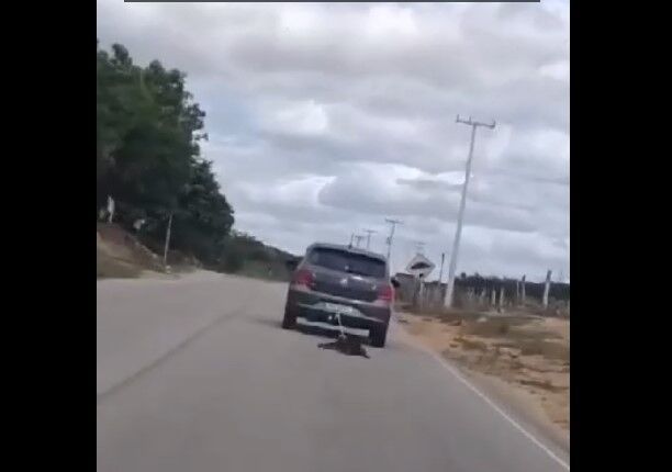 Homem é detido suspeito de amarrar e arrastar cachorro morto em carro no Sertão da Paraíba Homem é detido suspeito de amarrar e arrastar cachorro morto em carro no Sertão da Paraíba