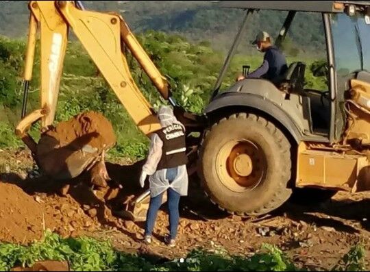 Peritos encontram cachorros mortos na chacina de Igaracy enterrados em lixão Peritos encontram cachorros mortos na chacina de Igaracy enterrados em lixão