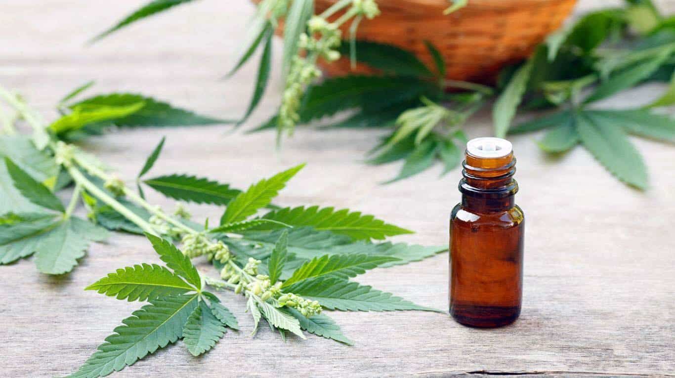 Frei Anastácio defende legalização da Cannabis para fins medicinais e diz que familiares usam o medicamento para tratamento de saúde cannabis, brasil, farmácias