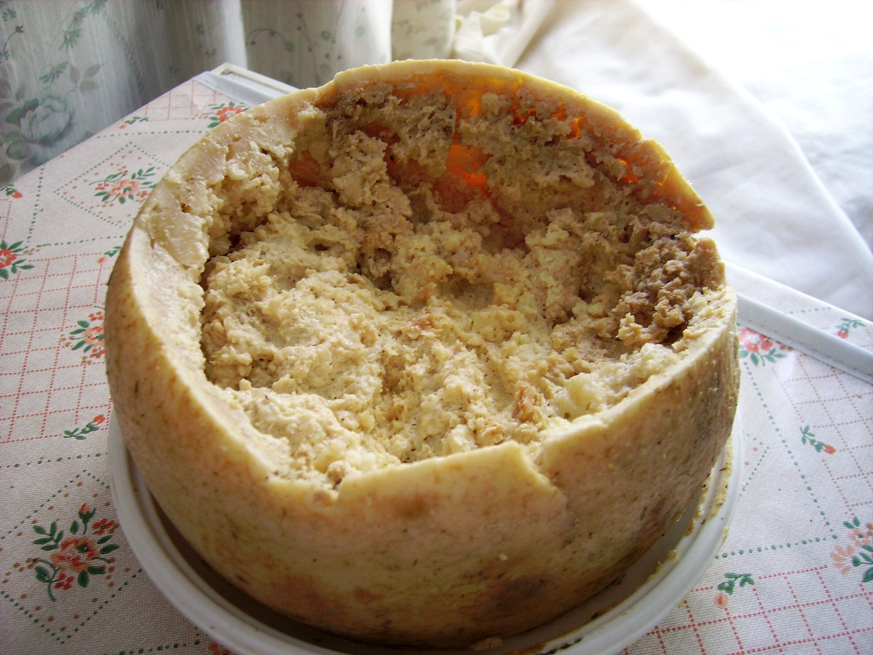 Casu Marzu: o queijo mais perigoso do mundo é italiano, da região da Sardenha Casu Marzu: o queijo mais perigoso do mundo é italiano, da região da Sardenha