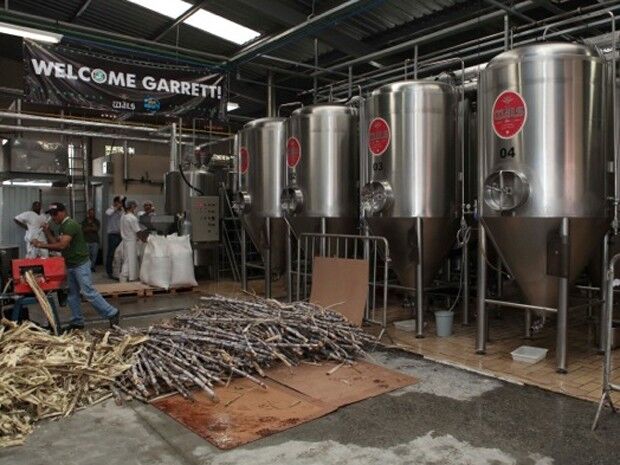 Cervejaria vai lançar bebida a base de cana-de-açúcar