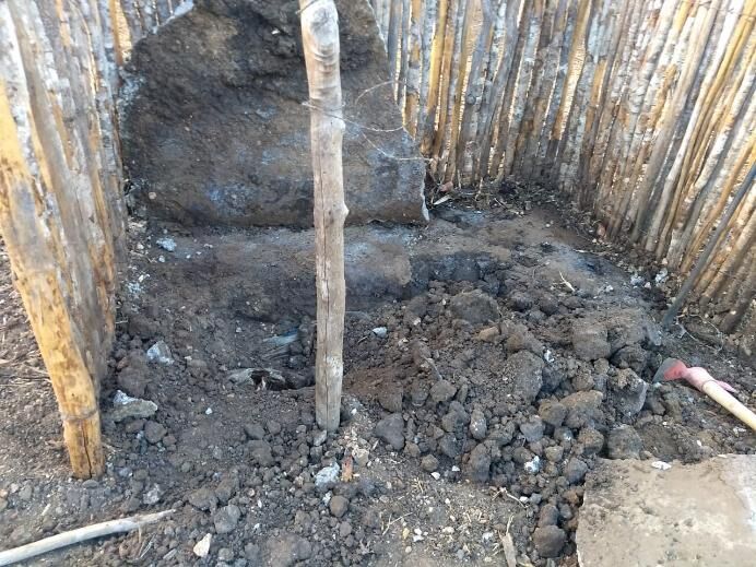 Corpo de idoso é encontrado enterrado em chiqueiro de porcos na Paraíba Corpo de idoso é encontrado enterrado em chiqueiro de porcos na Paraíba