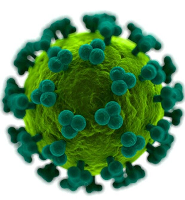 Cientistas criam vacina experimental que gera anticorpos do HIV em roedor Cientistas criam vacina experimental que gera anticorpos do HIV em roedor