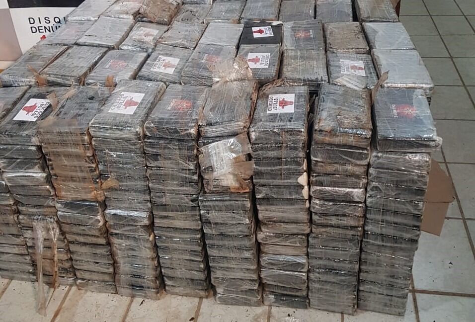 Carga com quase 1 tonelada de cocaína apreendida em Catolé do Rocha está orçada em mais de R$ 30 milhões e seria distribuída na Paraíba e estados vizinhos Carga com quase 1 tonelada de cocaína apreendida em Catolé do Rocha está orçada em mais de R$ 30 milhões e seria distribuída na Paraíba e estados vizinhos