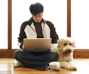 Computadores substituem cachorros em sua função mais antiga
