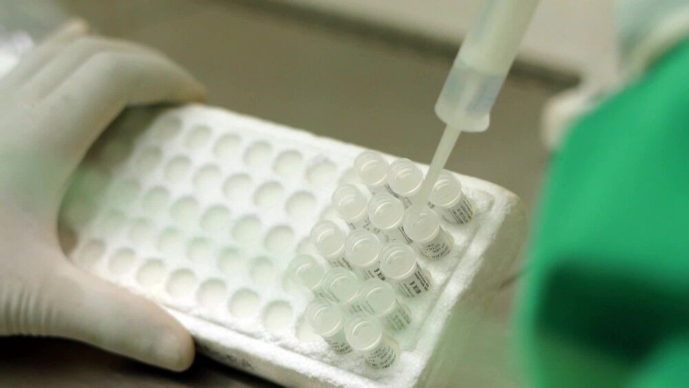 Paraíba vai receber quase 50 mil testes de covid-19, diz Ministério da Saúde Paraíba vai receber quase 50 mil testes de covid-19, diz Ministério da Saúde