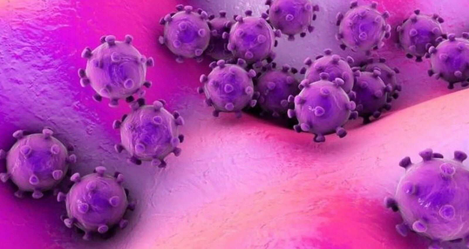 Paraíba confirma 135 novos casos de Covid-19, dois óbitos nas últimas 24h e chega a 1169 contaminados Paraíba confirma 135 novos casos de Covid-19, dois óbitos nas últimas 24h e chega a 1169 contaminados
