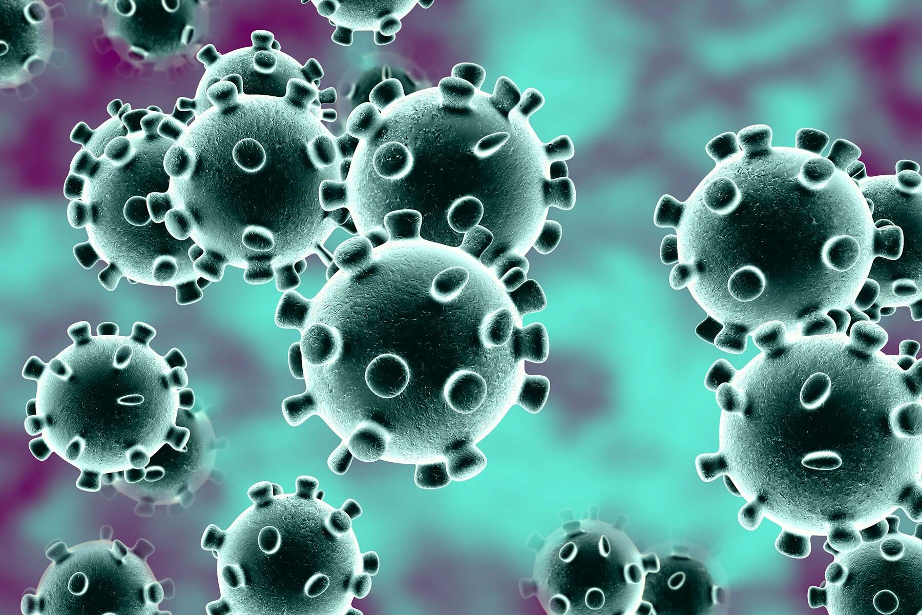 Paraíba descarta mais quatro casos suspeitos de Coronavírus e casos investigados sobem para 33 Paraíba descarta mais quatro casos suspeitos de Coronavírus e casos investigados sobem para 33