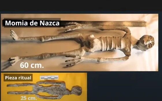 Supostos corpos de extraterrestres são exibidos em audiência no Congresso do México Supostos corpos de extraterrestres são exibidos em audiência no Congresso do México