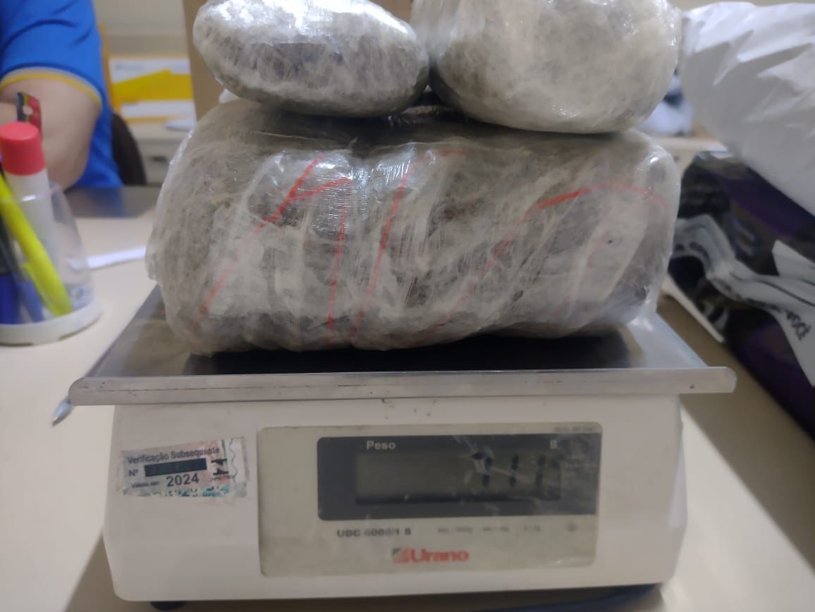 Polícia Federal prende homem que recebeu maconha pelos Correios em Picuí Polícia Federal prende homem que recebeu maconha pelos Correios em Picuí