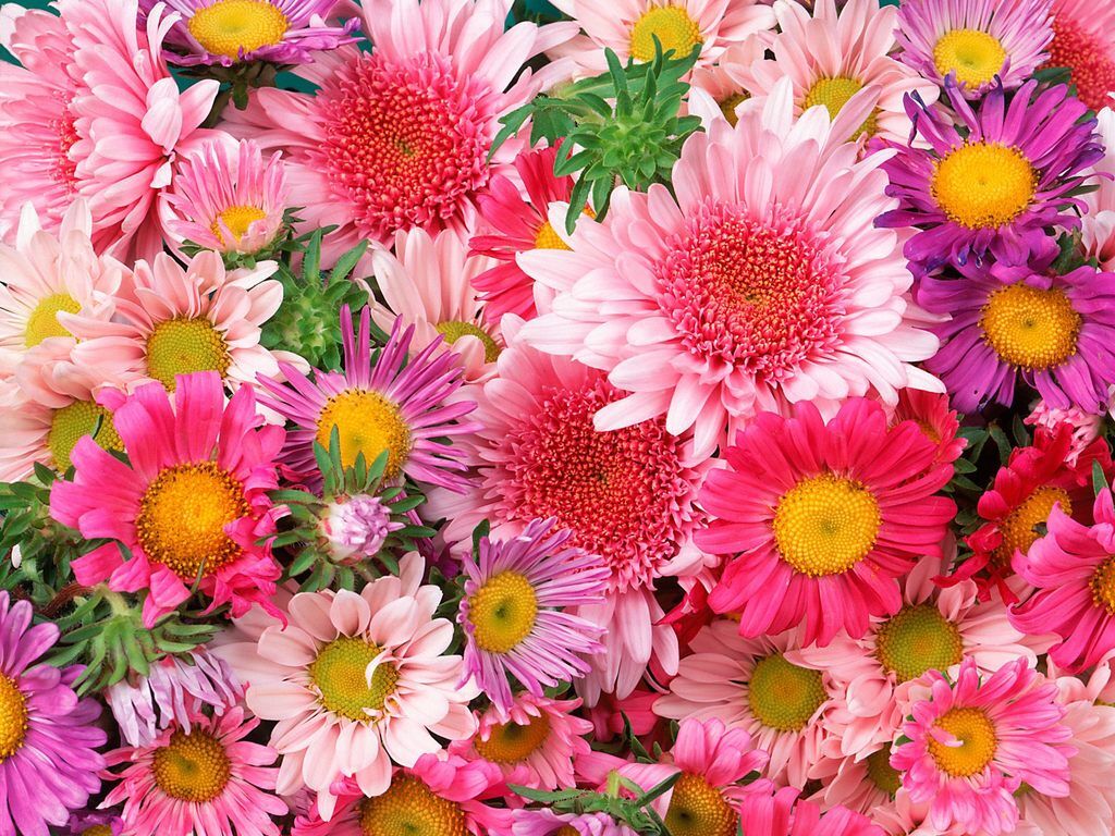 Flores e serviços em cemitérios têm variação de preço de até 540%