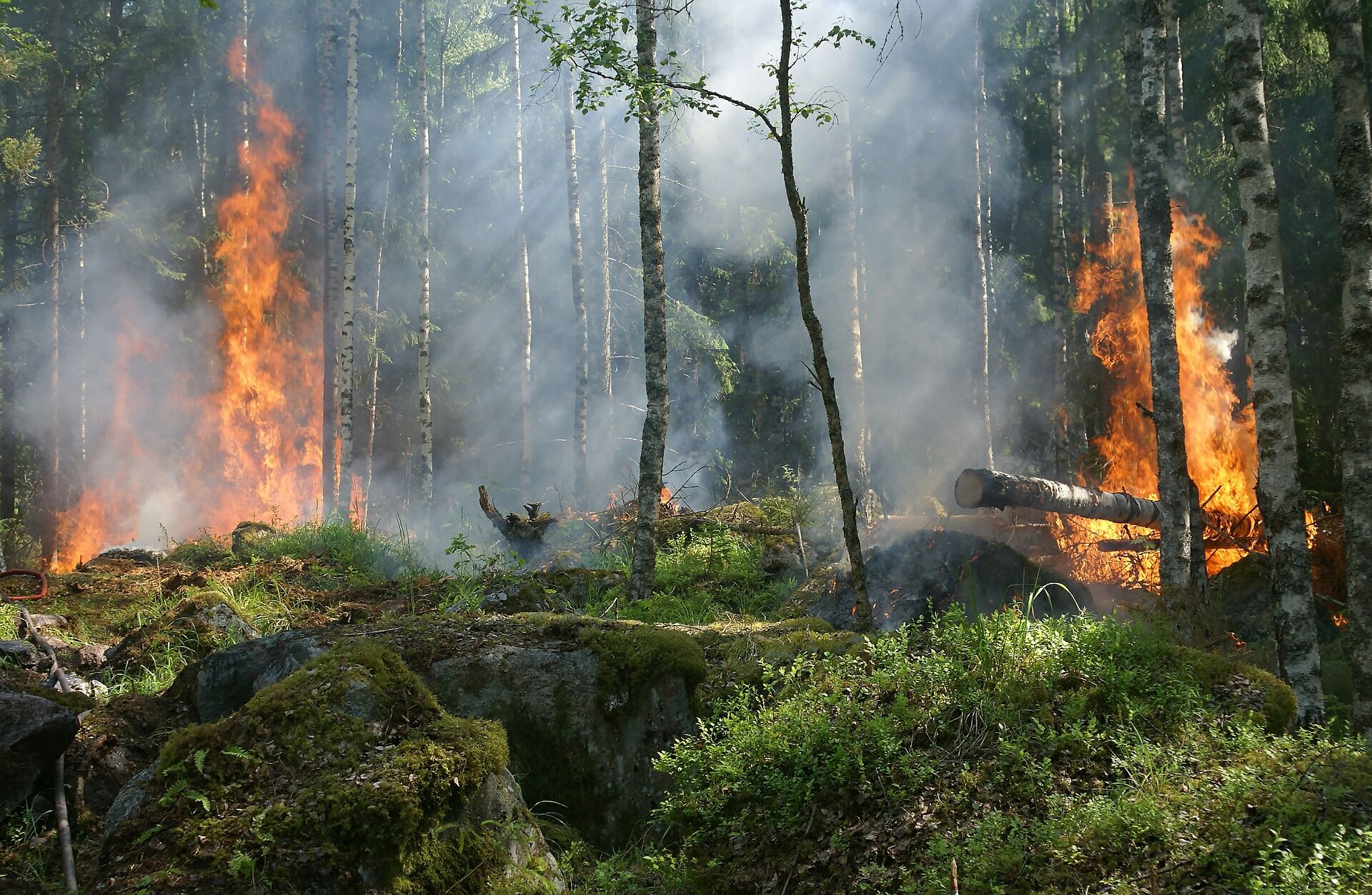 Incêndio florestal atinge Portugal e fere 32 pessoas Incêndio florestal atinge Portugal e fere 32 pessoas