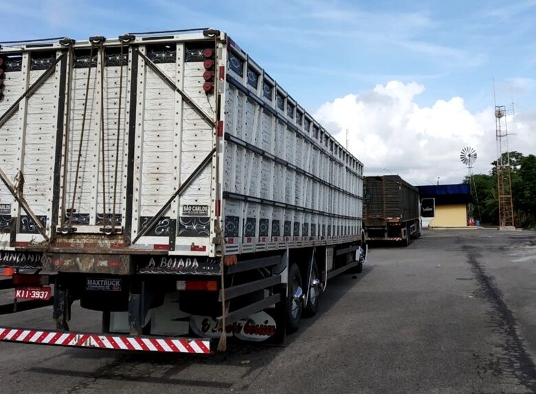Fiscalização apreende três caminhões boiadeiros transportando gado sem documentação fiscal