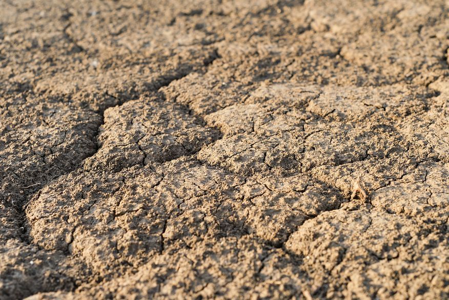 Inmet emite alertas de vendaval e baixa umidade para municípios da Paraíba