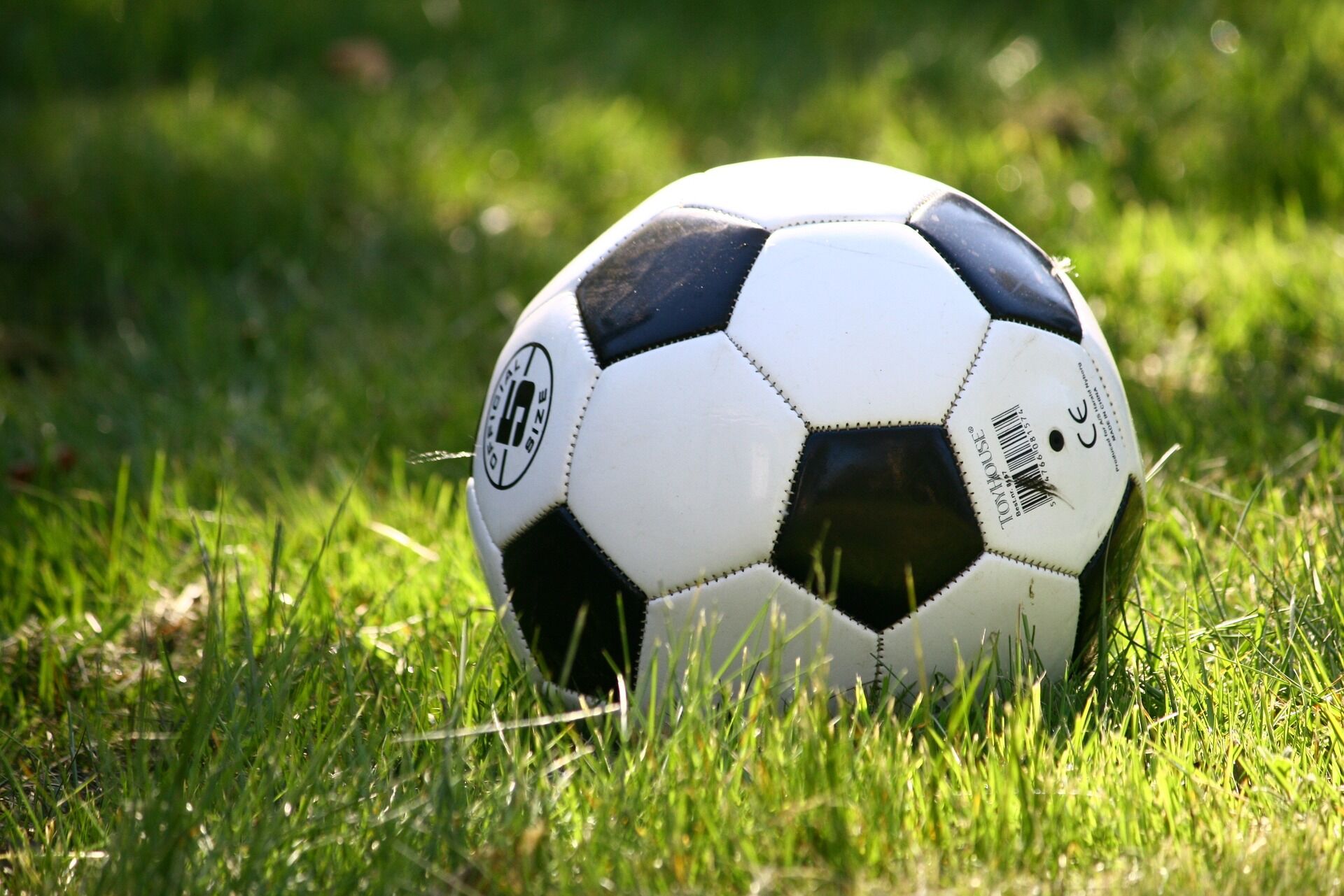 Paysandu vence o Treze na Curuzu e conquista sua primeira vitória na Série C campo de futebol, bola