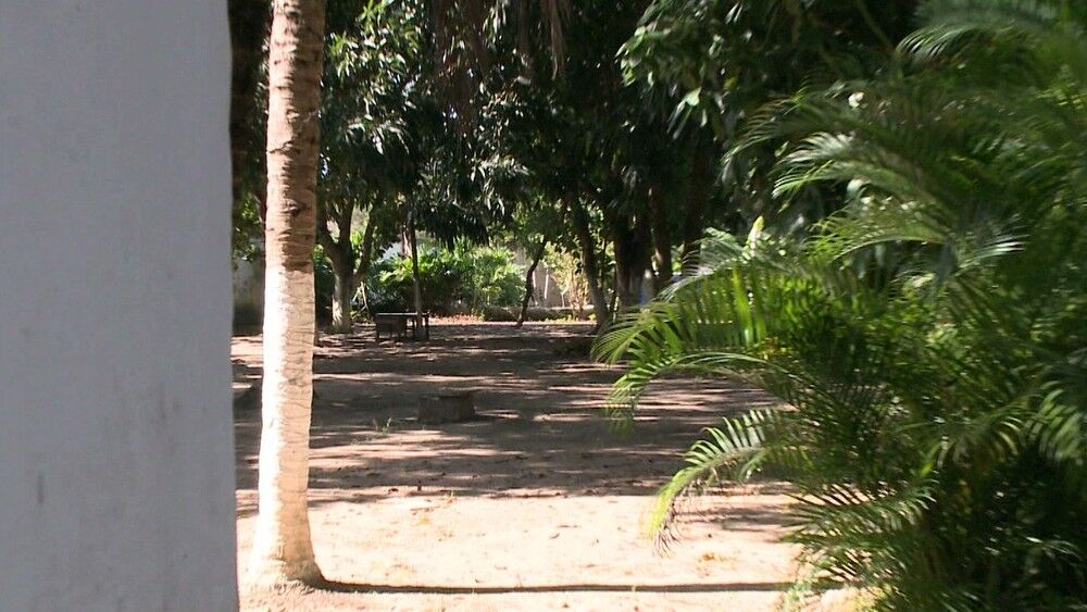 Suspeito de matar auditor diz que filho da vítima pagou R$ 4 mil pelo assassinato do pai Suspeito de matar auditor diz que filho da vítima pagou R$ 4 mil pelo assassinato do pai