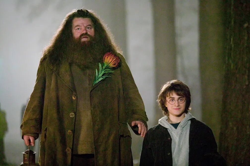 Robbie Coltrane, o Hagrid de 'Harry Potter', morre aos 72 anos Robbie Coltrane, o Hagrid de 'Harry Potter', morre aos 72 anos
