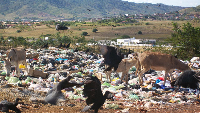 Ibama fiscaliza destinação de resíduos sólidos urbanos e autua 38 municípios Ibama fiscaliza destinação de resíduos sólidos urbanos e autua 38 municípios