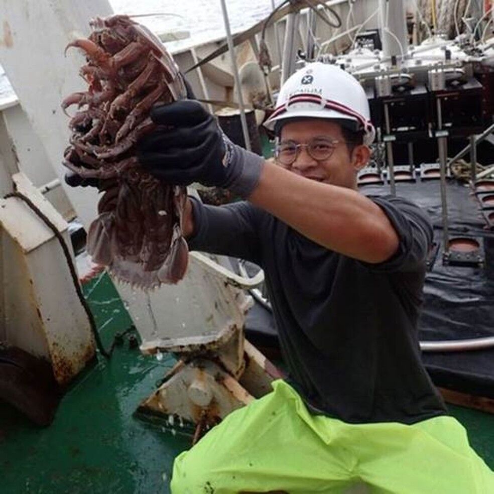 Cientistas encontram 'barata gigante' que vive no fundo do mar