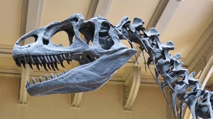 Fragmento de cometa pode ter causado o fim dos dinossauros, aponta estudo Fragmento de cometa pode ter causado o fim dos dinossauros, aponta estudo