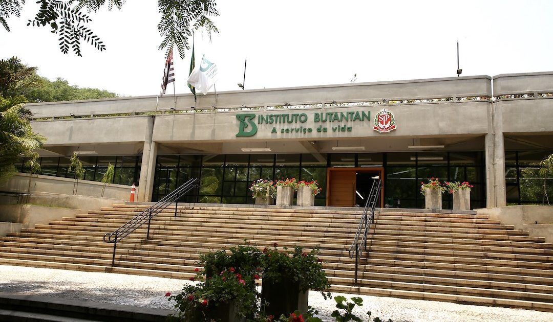Butantan recebe matéria-prima para 8 milhões de doses de vacina