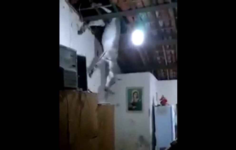 Jumento fica preso em telhado de residência no Sertão do Estado Jumento fica preso em telhado de residência no Sertão do Estado