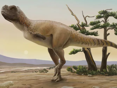 Nova espécie de dinossauro do Brasil homenageia 'deus do sexo' guarani Nova espécie de dinossauro do Brasil homenageia 'deus do sexo' guarani