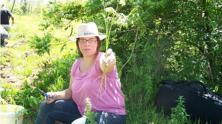 'Não vou desistir': agricultora produz óleo de cannabis para 3 mil famílias 'Não vou desistir': agricultora produz óleo de cannabis para 3 mil famílias