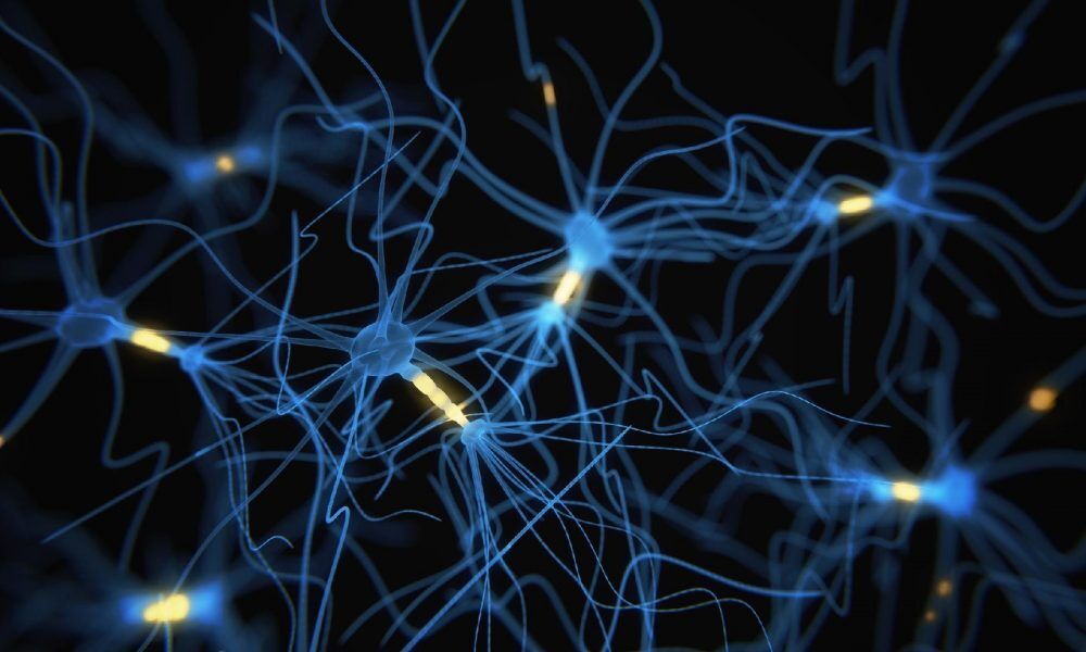 Neurônios podem ajudar no tratamento de câncer, aponta estudo Neurônios podem ajudar no tratamento de câncer, aponta estudo