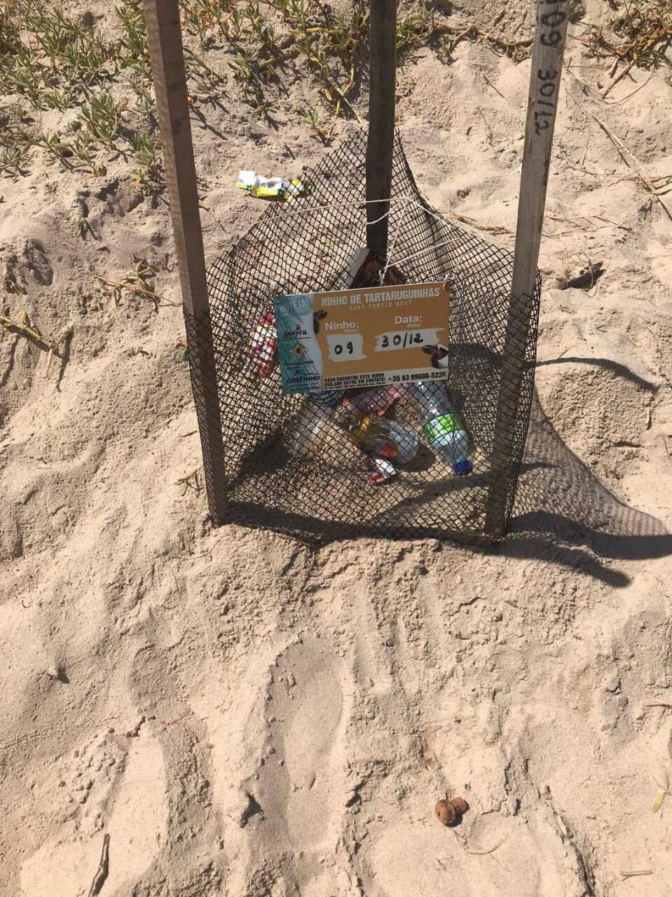 Mesmo com área cercada e placa de identificação, lixo é encontrado em ninhos de tartarugas em praias de Cabedelo Mesmo com área cercada e placa de identificação, lixo é encontrado em ninhos de tartarugas em praias de Cabedelo