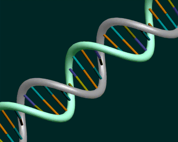 Gêmeos idênticos devem pagar pensão à mesma criança após DNA apontar os dois como pais Gêmeos idênticos devem pagar pensão à mesma criança após DNA apontar os dois como pais