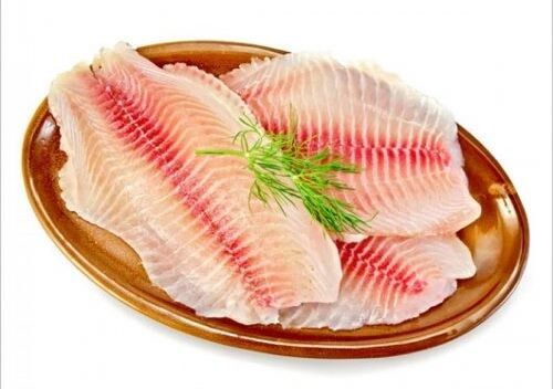 Pesquisadores da UFPB testam ração de mandioca para produzir filé de peixe com menos gordura Pesquisadores da UFPB testam ração de mandioca para produzir filé de peixe com menos gordura