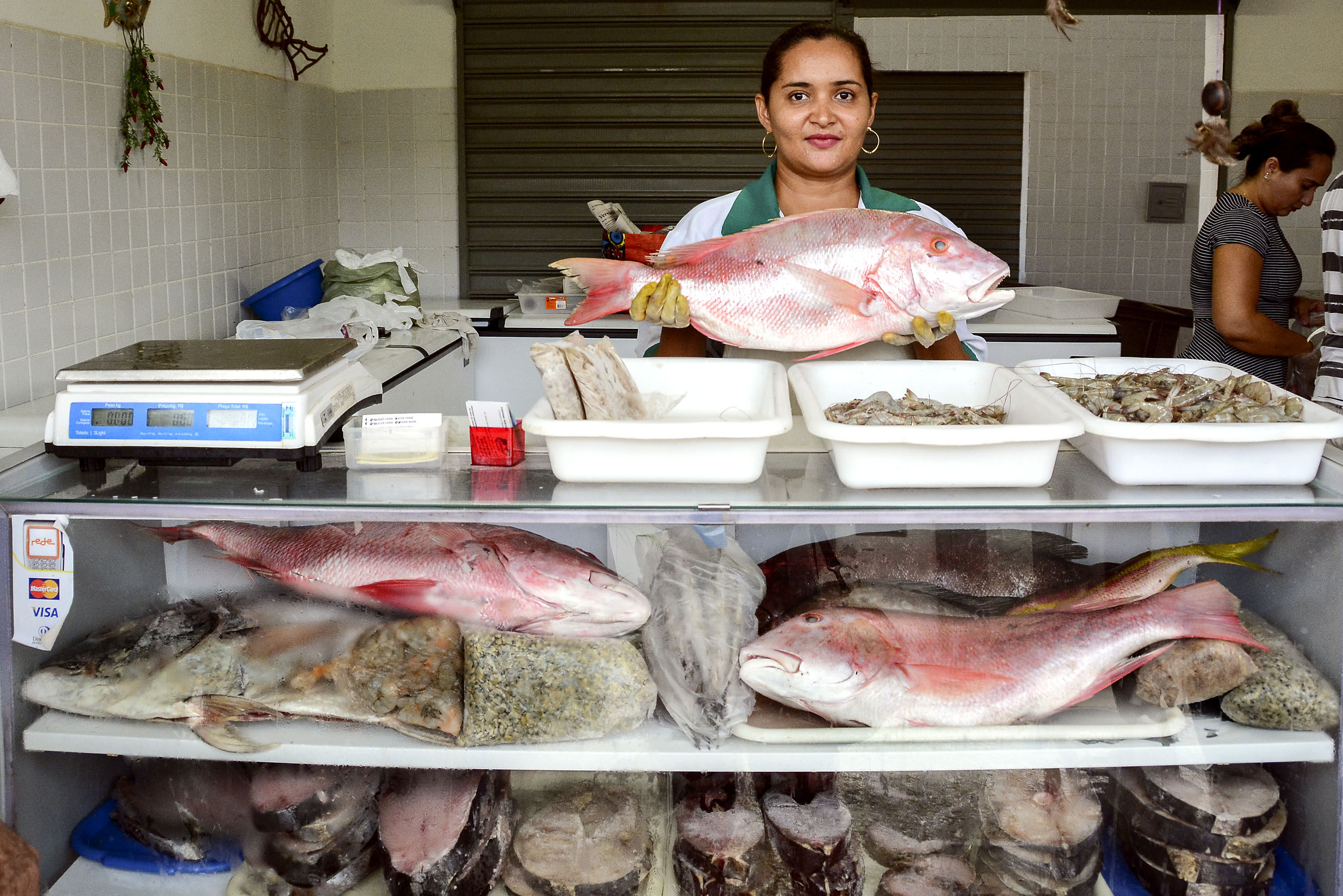 Consumidor pode encontrar quilo do peixe a R$12 na IV Semana do Pescado Consumidor pode encontrar quilo do peixe a R$12 na IV Semana do Pescado
