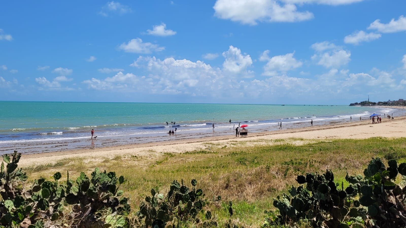 Paraíba tem 20 trechos de praias impróprios para banho até a próxima semana, diz relatório