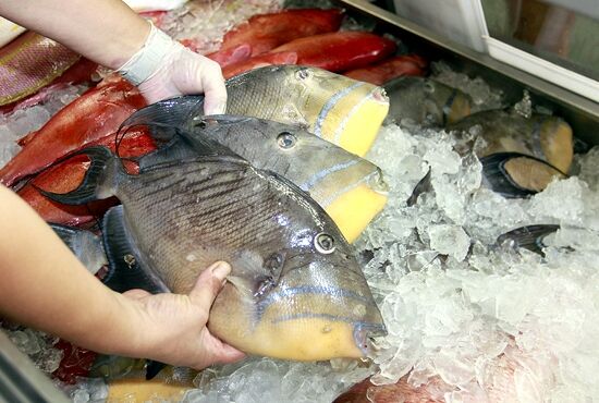 Preço do pescado tem variação de até 212,50% para Semana Santa Preço do pescado tem variação de até 212,50% para Semana Santa